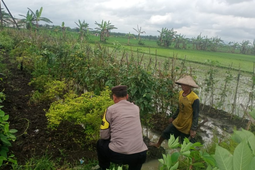 Dukung Ketahanan Pangan, Bhabinkamtibmas Polsek Balerejo Sambangi Warga Pemanfaat Lahan Pekarangan