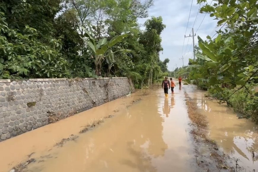 Hujan Deras, Empat Desa dan Sawah Terendam Banjir Setinggi 1,5 Meter di Madiun